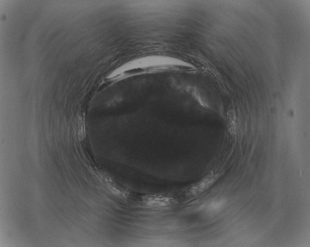 X0000071920471200607281858