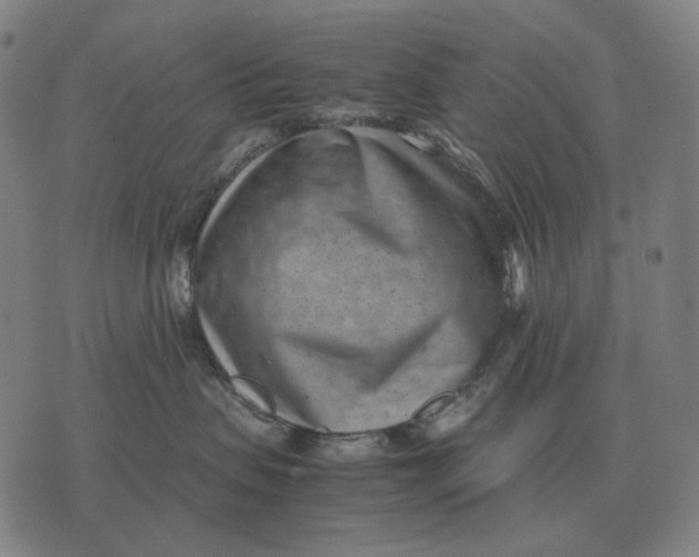 X0000071920479200607281858