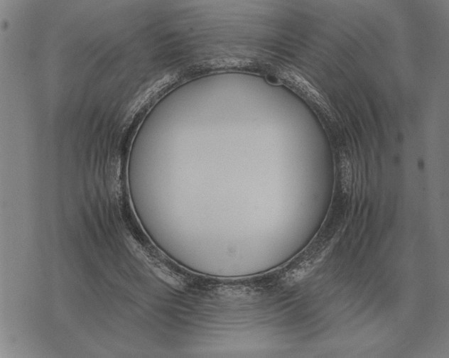 X0000071920490200607281857