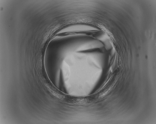 X0000071920493200607281857