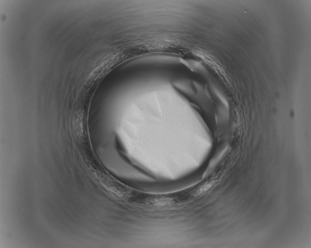 X0000071920501200607281857