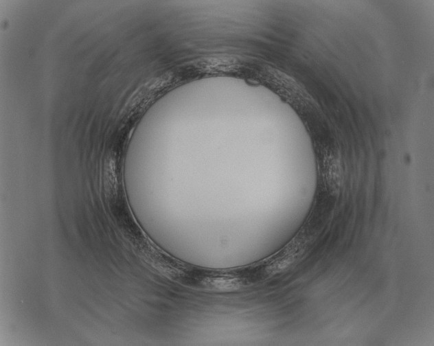 X0000071920506200607281856