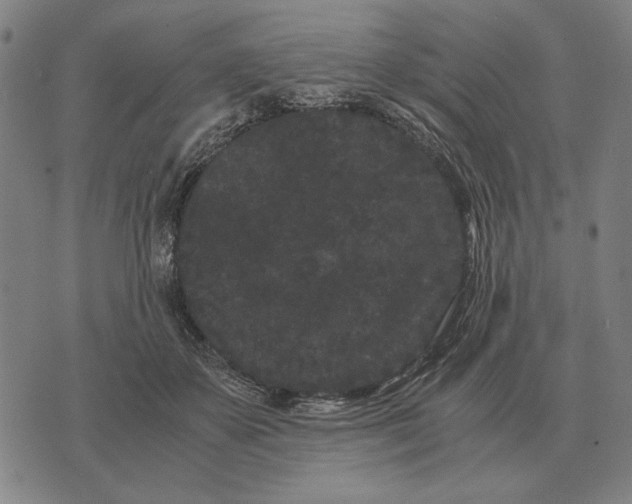 X0000071920507200607281856