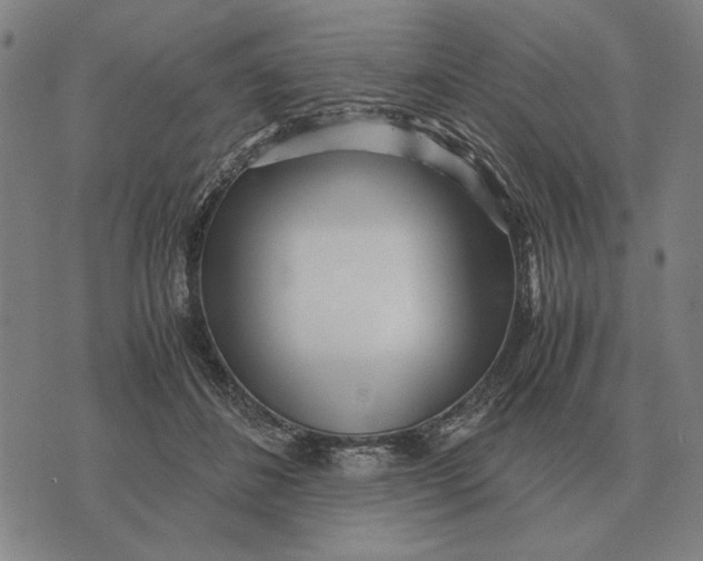 X0000071920508200607281856
