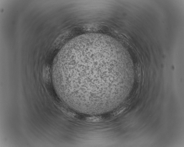 X0000071920511200607281856