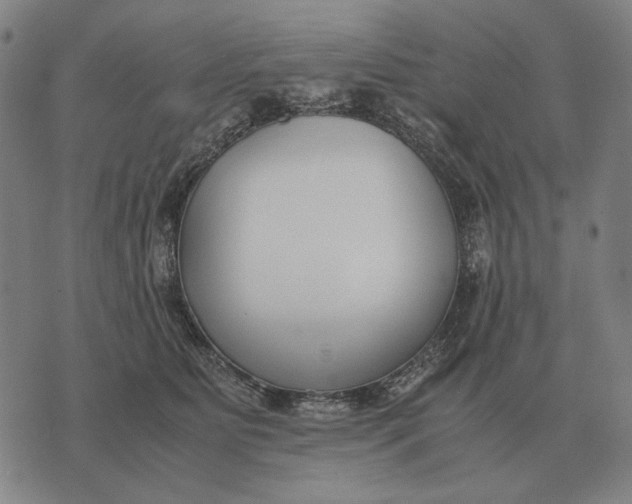 X0000071920515200607281856