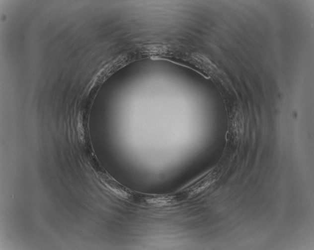 X0000071920516200607281856