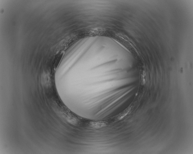 X0000071920520200607281856