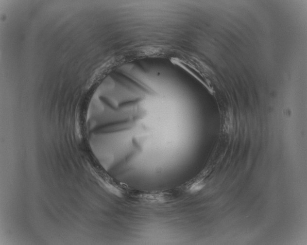 X0000071920524200607281856