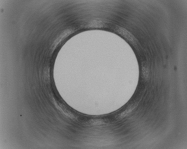 X0000071920534200607281855