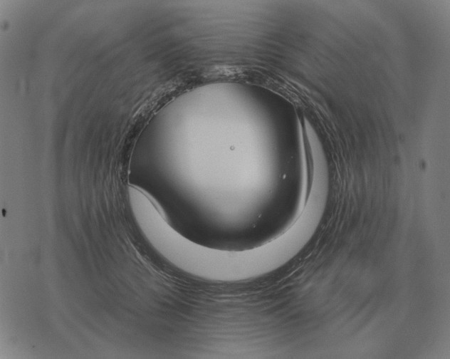 X0000071920560200607281856