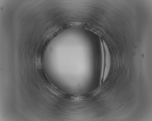 X0000071920564200607281856