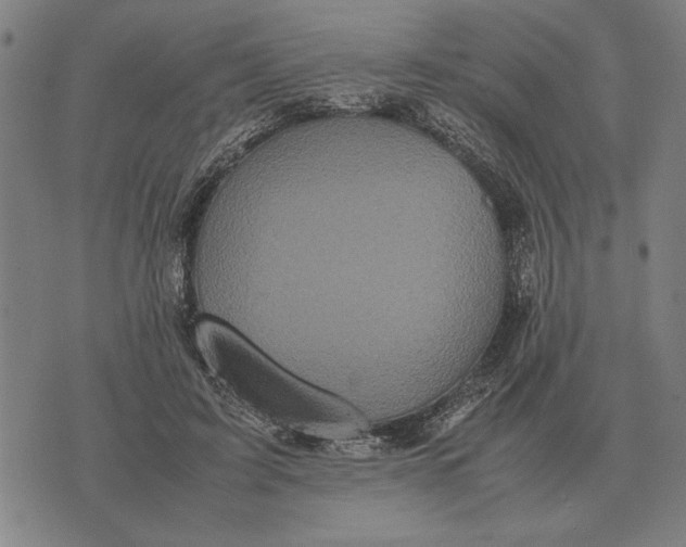 X0000071920595200607281855