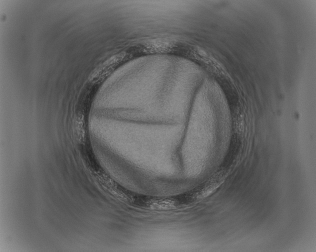 X0000071920599200607281855