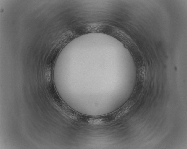 X0000071920602200607281855