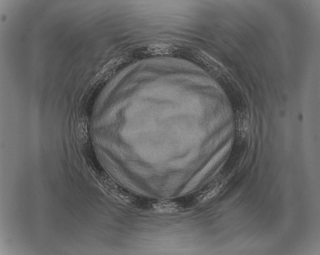 X0000071920603200607281855