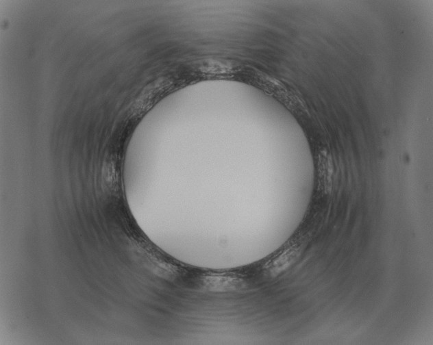 X0000071920614200607281855