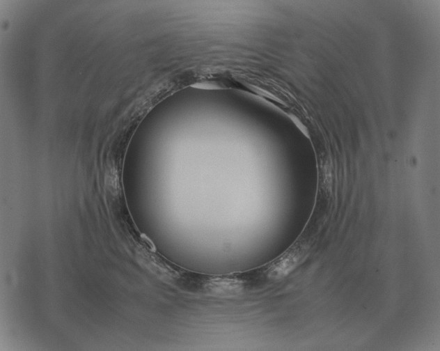 X0000071920617200607281855