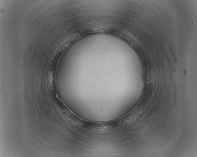 X0000071920646200607281854