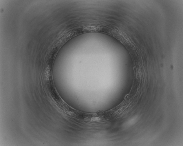 X0000071920647200607281854