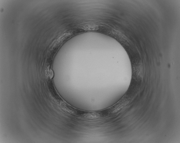 X0000071920652200607281854