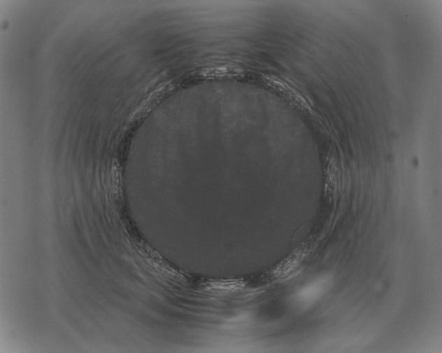 X0000071920659200607281854