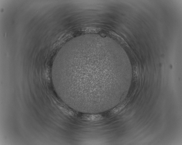 X0000071920663200607281854