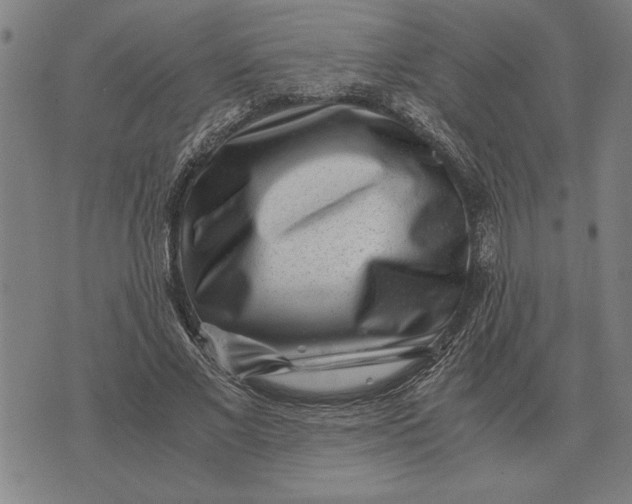 X0000071920685200607281854