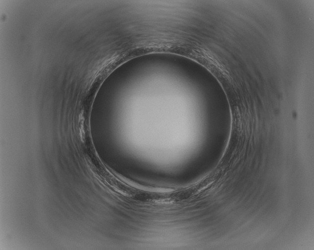 X0000071920692200607281853
