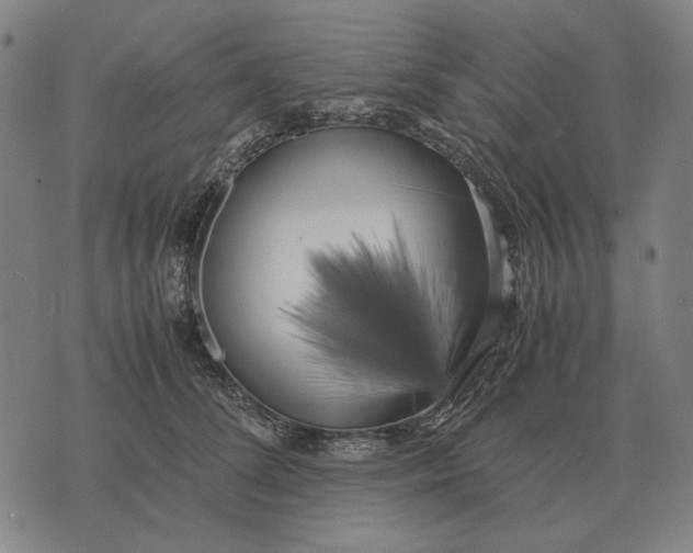 X0000071920708200607281853