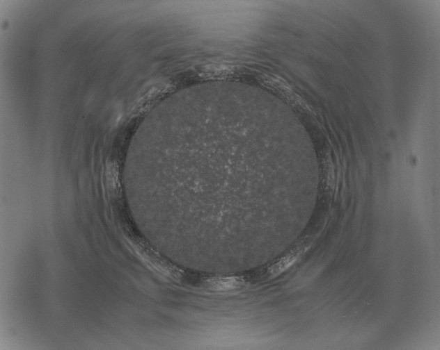 X0000071920711200607281853