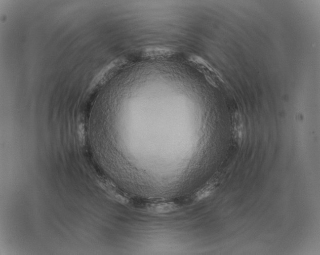 X0000071920716200607281853