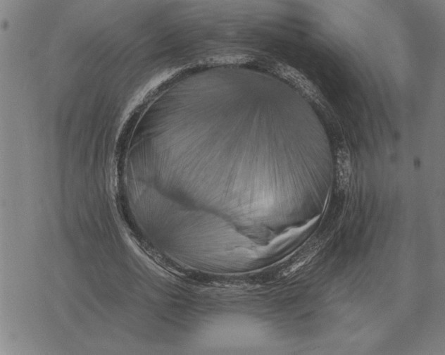 X0000071920726200607281852