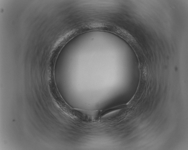 X0000071920732200607281852