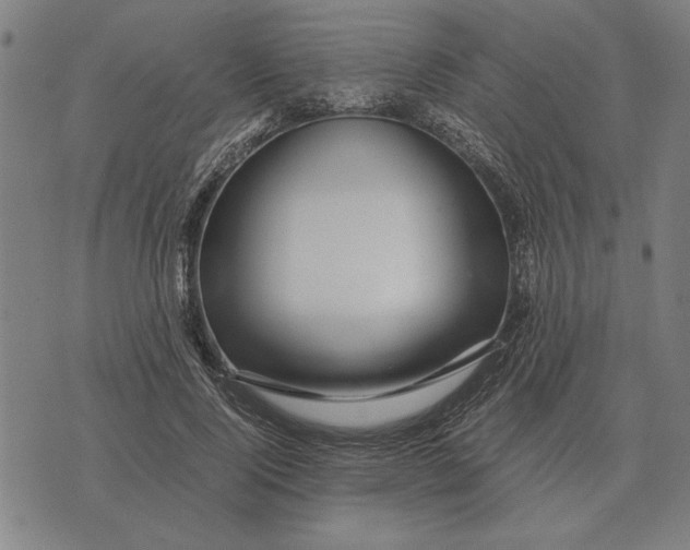 X0000071920740200607281853