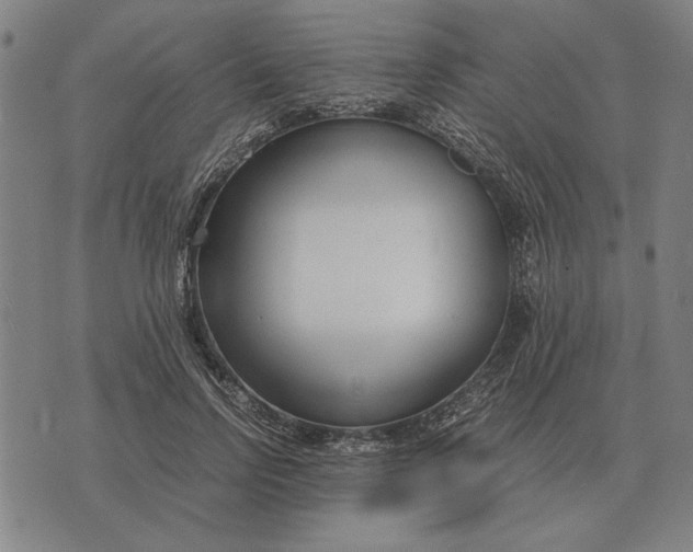X0000071920742200607281853