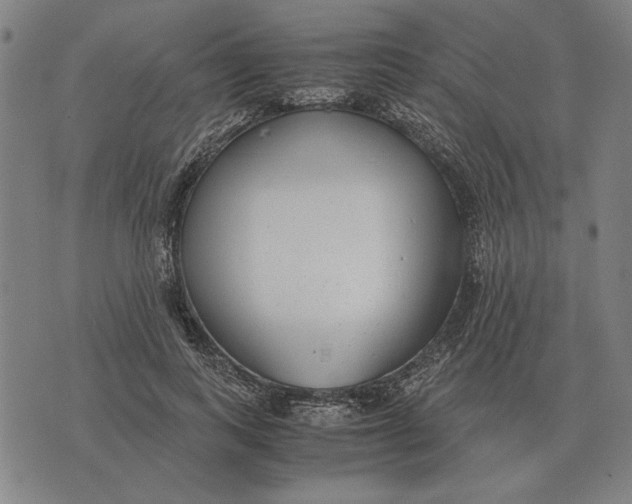 X0000071920743200607281853