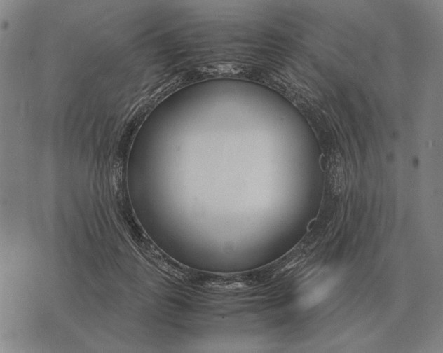 X0000071920747200607281853