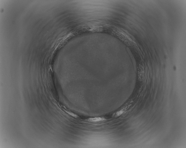 X0000071920748200607281853