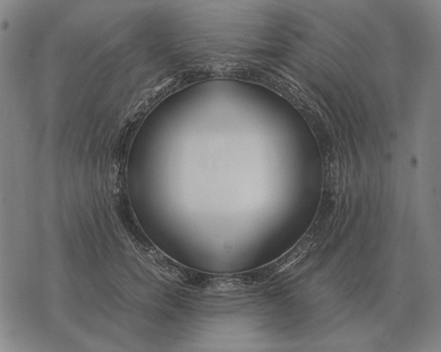 X0000071920750200607281853