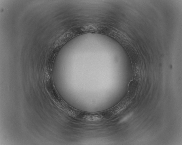 X0000071920751200607281853