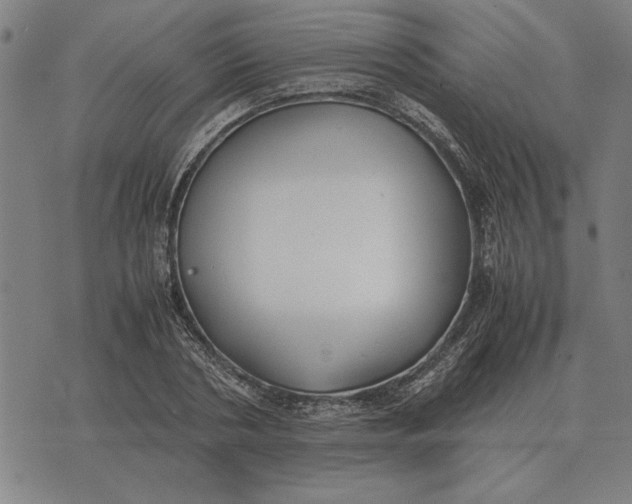 X0000071920786200607281852
