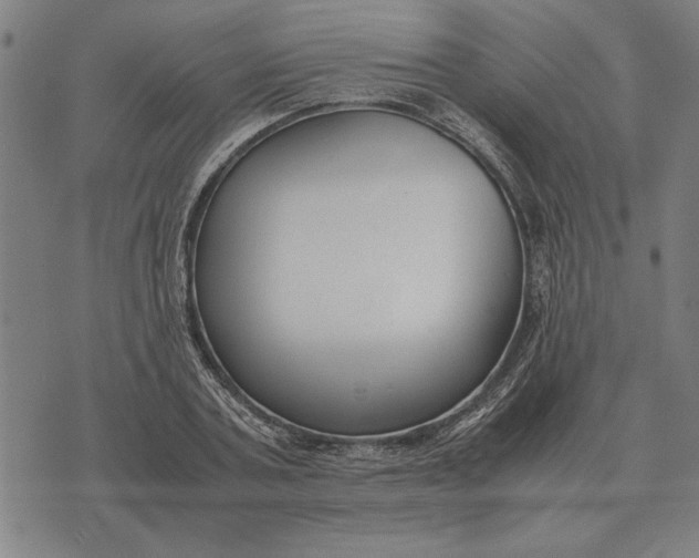 X0000071920787200607281852