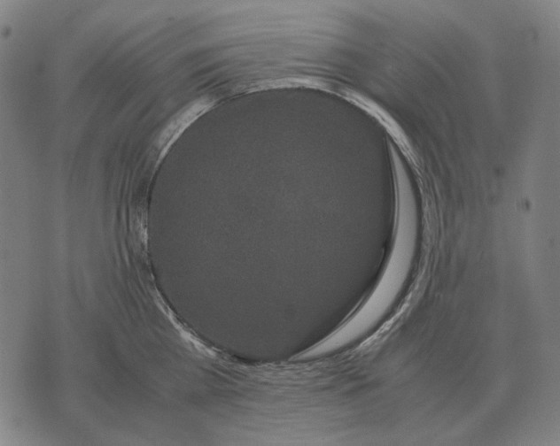 X0000071920809200607281852