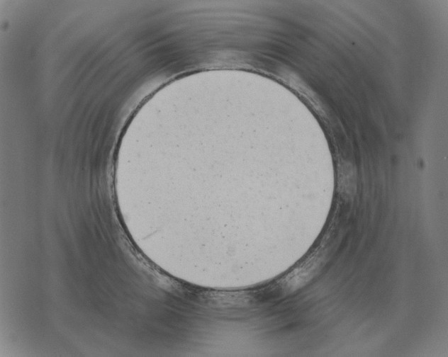 X0000071920856200607281851
