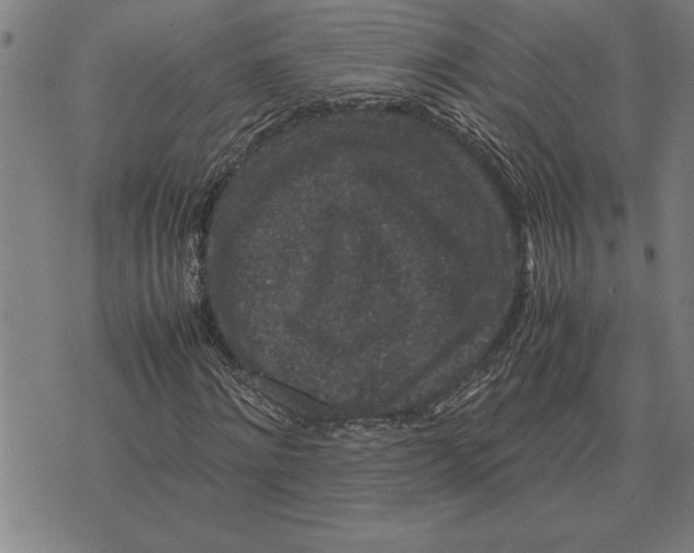 X0000071920868200607281851