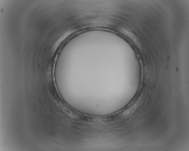 X0000071920875200607281851