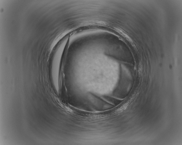X0000071920877200607281850