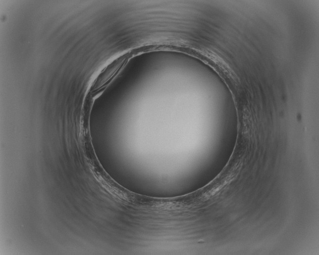 X0000071920880200607281850