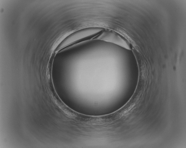 X0000071920885200607281850